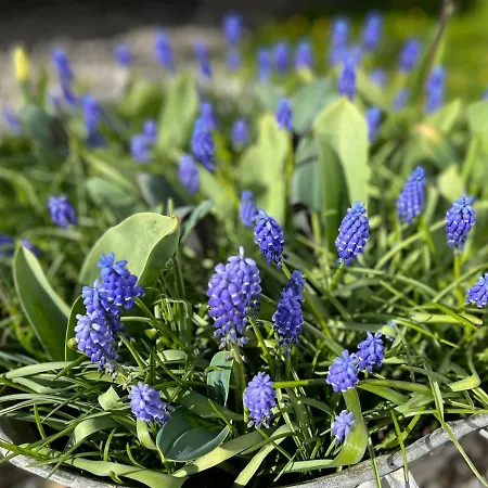 Ruhetgaard Bed & Kitchen Nocleg ze śniadaniem Ærøskøbing