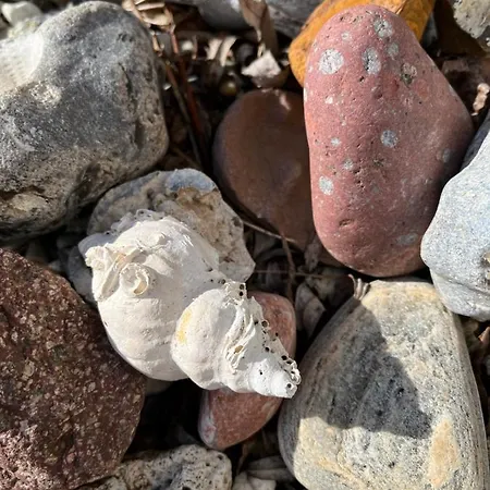 Ruhetgaard Bed & Kitchen Ærøskøbing