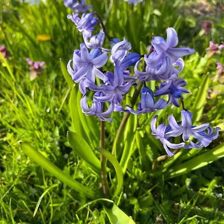 Ruhetgaard Bed & Kitchen