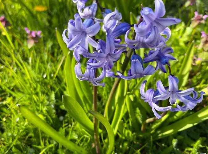 Ruhetgaard Bed & Kitchen